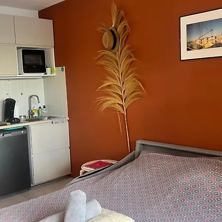 Coconut La Grande-Motte
